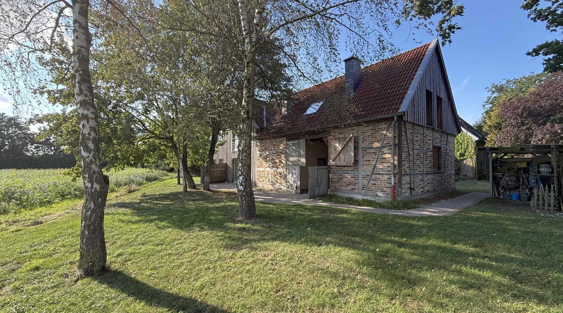 Immobilienfoto 8