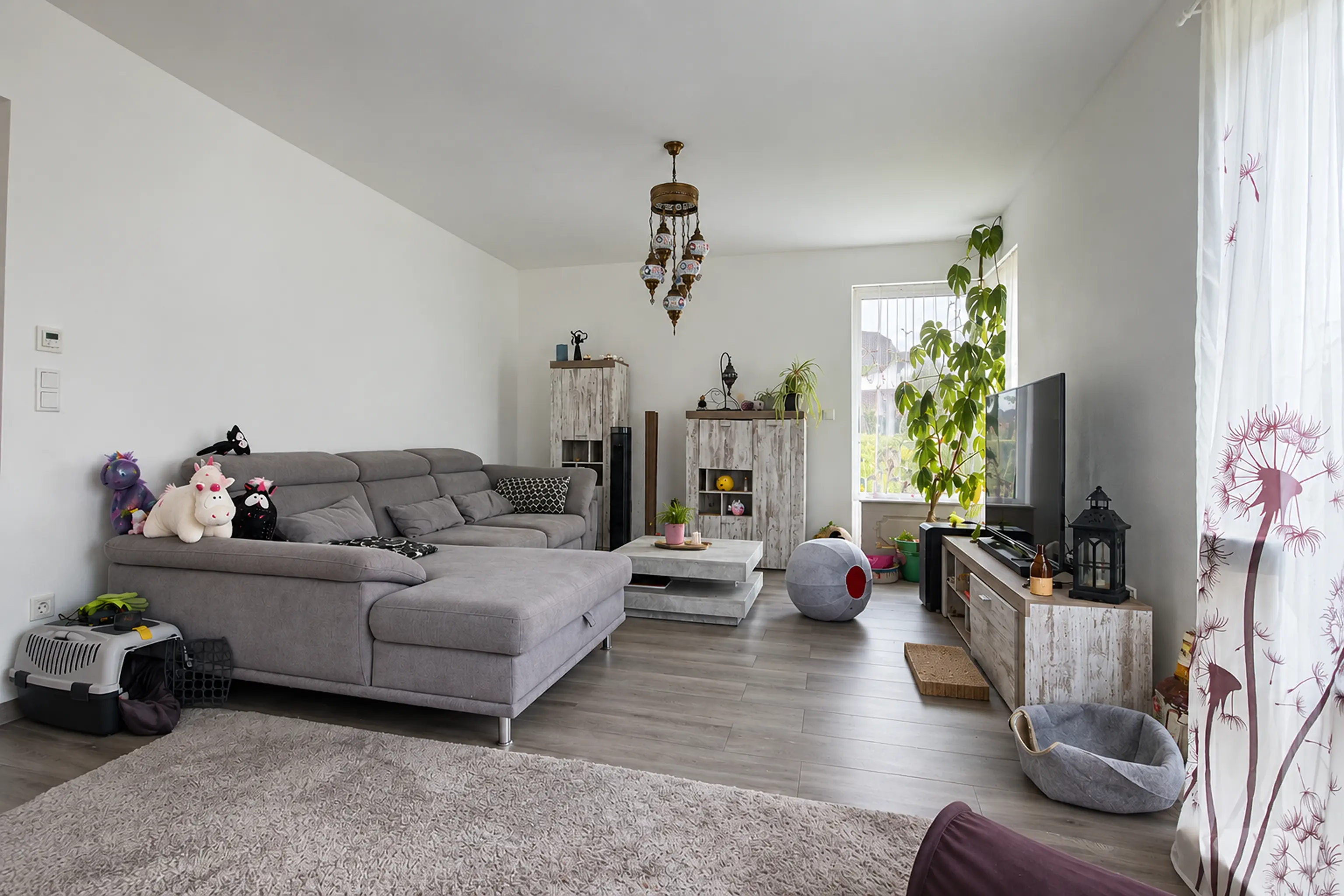 Immobilienfoto 9